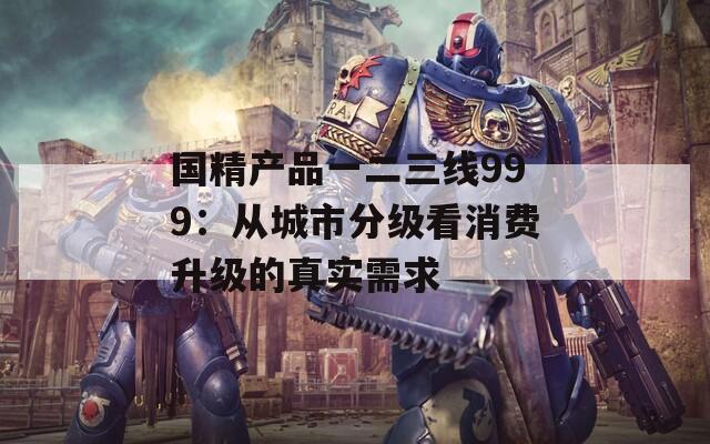 国精产品一二三线999：从城市分级看消费升级的真实需求