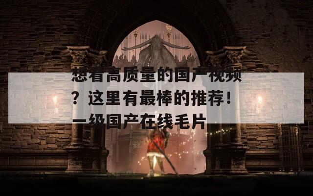 想看高质量的国产视频？这里有最棒的推荐！一级国产在线毛片
