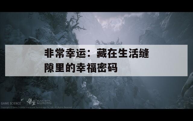 非常幸运：藏在生活缝隙里的幸福密码