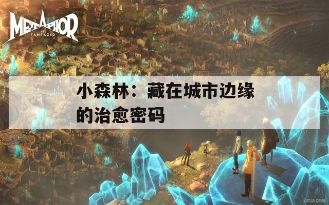 小森林：藏在城市边缘的治愈密码  第1张