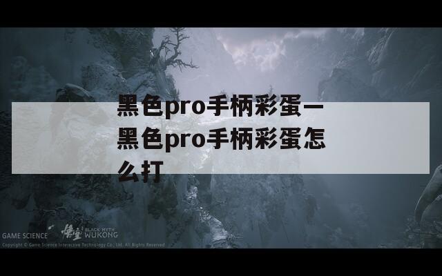 黑色pro手柄彩蛋—黑色pro手柄彩蛋怎么打