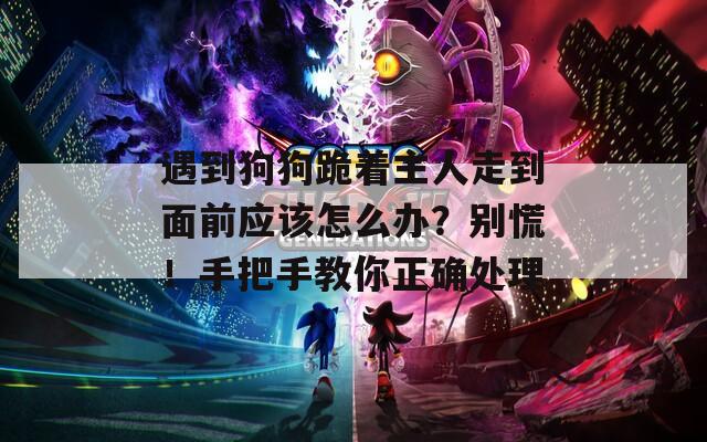 遇到狗狗跪着主人走到面前应该怎么办？别慌！手把手教你正确处理