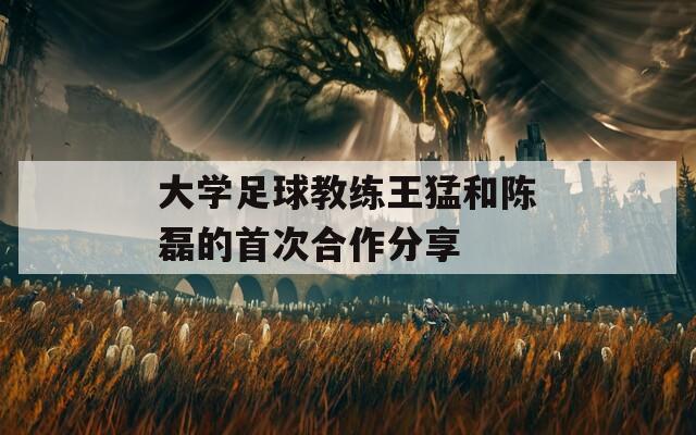 大学足球教练王猛和陈磊的首次合作分享