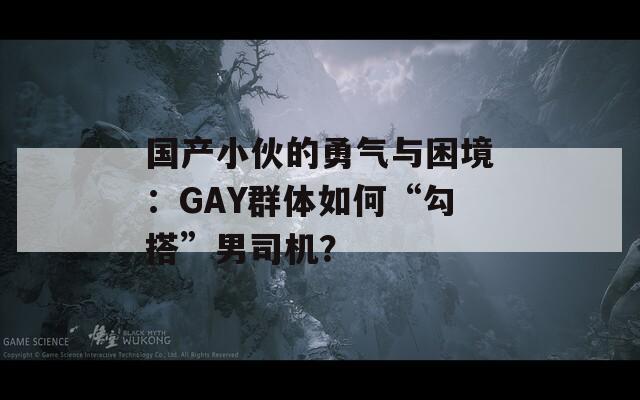 国产小伙的勇气与困境：GAY群体如何“勾搭”男司机？  第1张