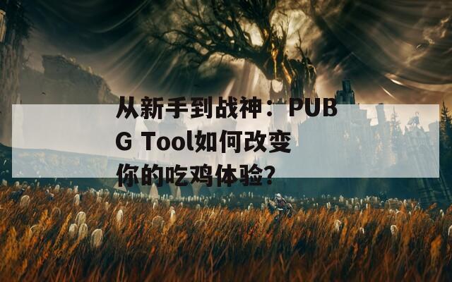 从新手到战神：PUBG Tool如何改变你的吃鸡体验？