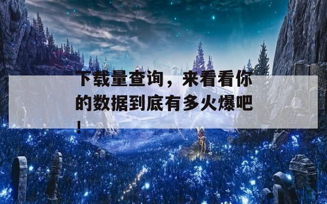 下载量查询，来看看你的数据到底有多火爆吧！