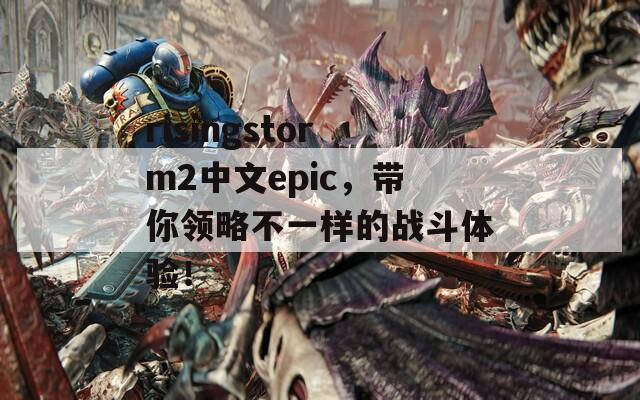risingstorm2中文epic，带你领略不一样的战斗体验！