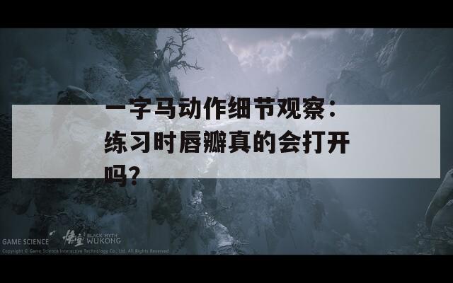 一字马动作细节观察：练习时唇瓣真的会打开吗？  第1张