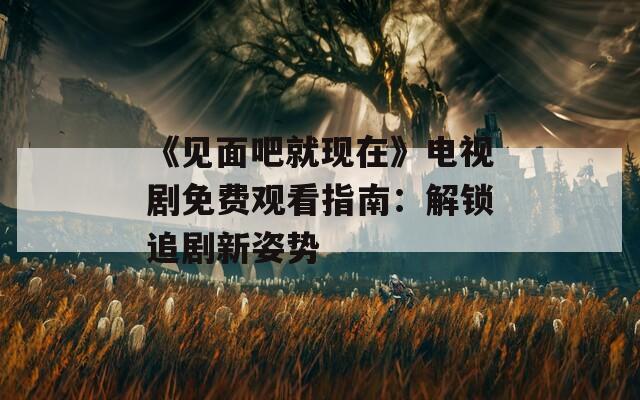 《见面吧就现在》电视剧免费观看指南：解锁追剧新姿势