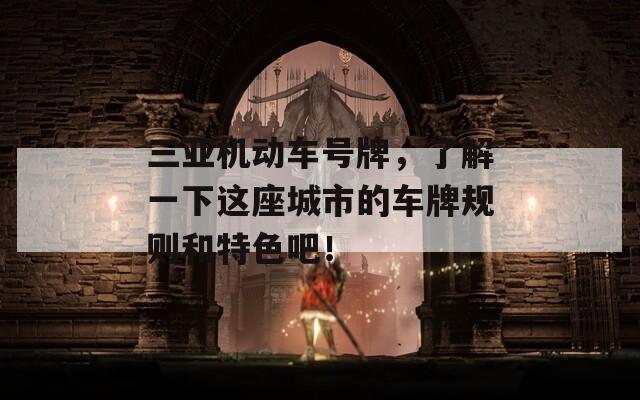 三亚机动车号牌，了解一下这座城市的车牌规则和特色吧！  第1张