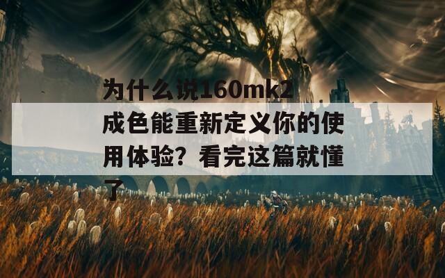 为什么说160mk2成色能重新定义你的使用体验？看完这篇就懂了  第1张