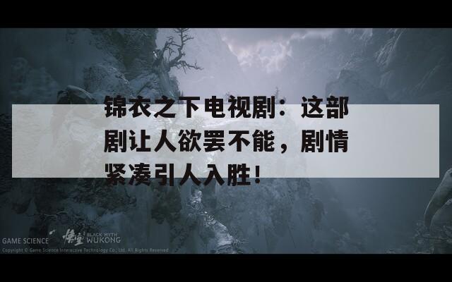 锦衣之下电视剧：这部剧让人欲罢不能，剧情紧凑引人入胜！  第1张