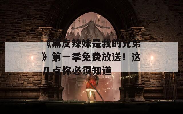 《黑皮辣妹是我的兄弟》第一季免费放送！这几点你必须知道  第1张