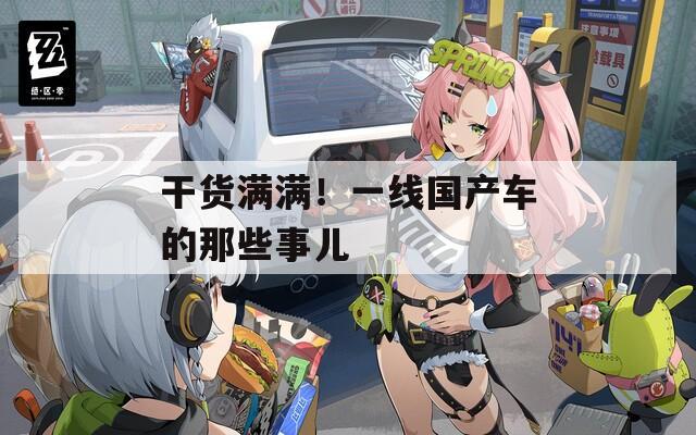 干货满满！一线国产车的那些事儿