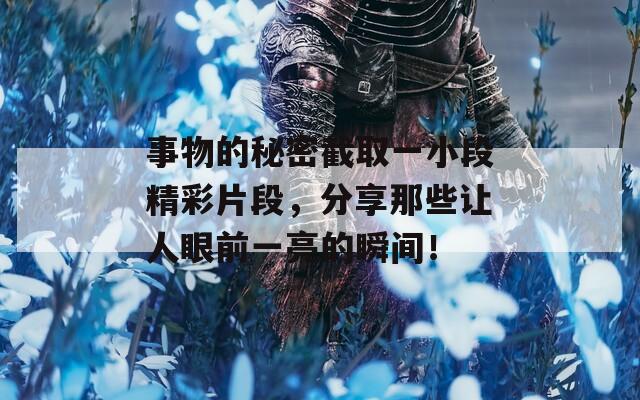 事物的秘密截取一小段精彩片段，分享那些让人眼前一亮的瞬间！