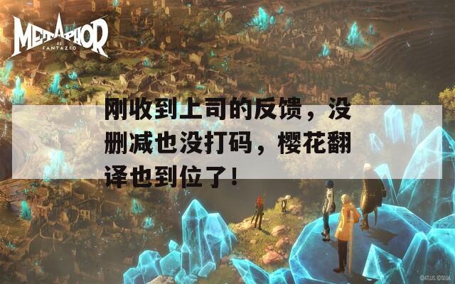 刚收到上司的反馈，没删减也没打码，樱花翻译也到位了！