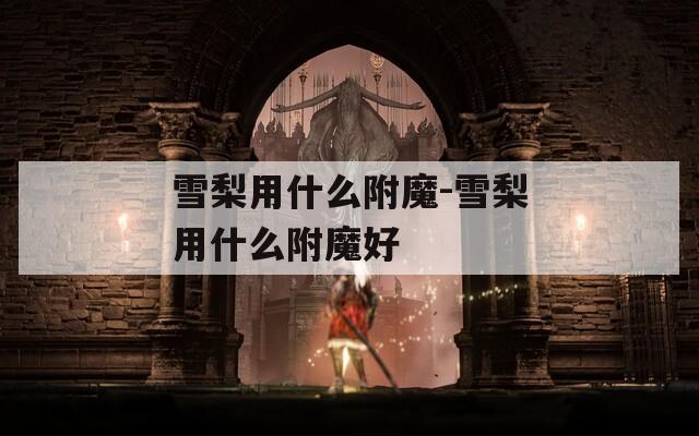 雪梨用什么附魔-雪梨用什么附魔好