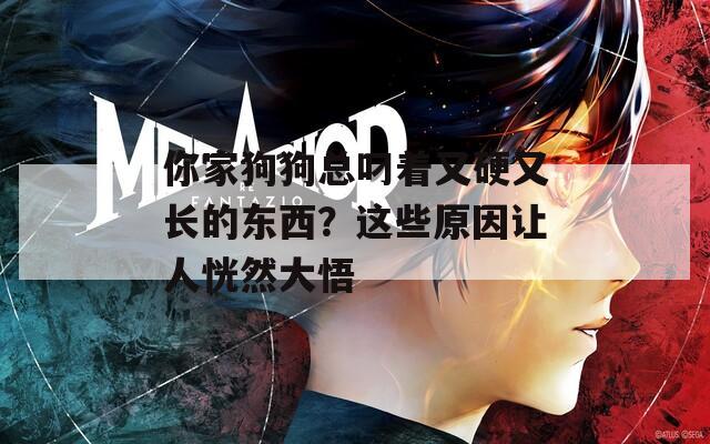 你家狗狗总叼着又硬又长的东西？这些原因让人恍然大悟