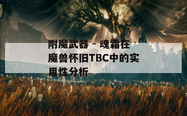 附魔武器 - 魂霜在魔兽怀旧TBC中的实用性分析