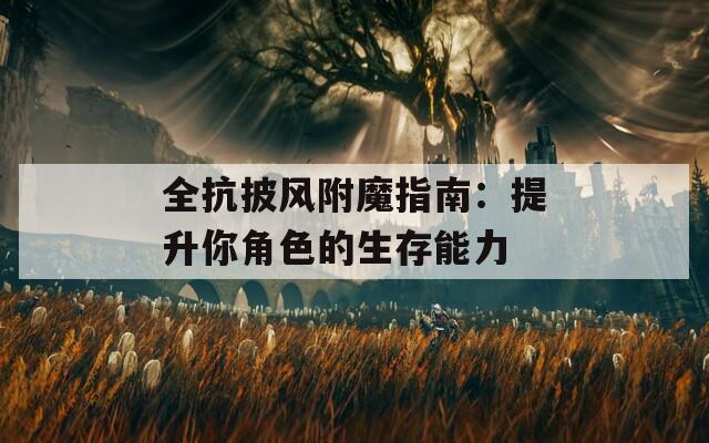全抗披风附魔指南：提升你角色的生存能力