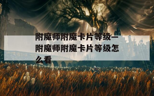 附魔师附魔卡片等级—附魔师附魔卡片等级怎么看