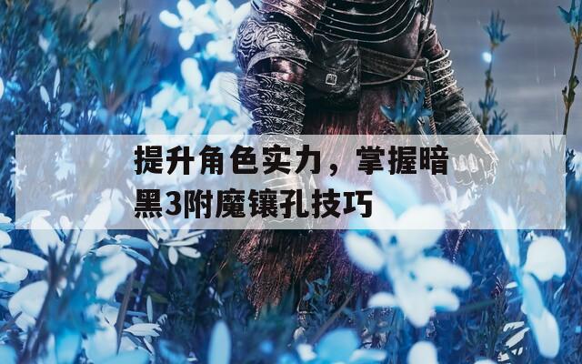 提升角色实力，掌握暗黑3附魔镶孔技巧