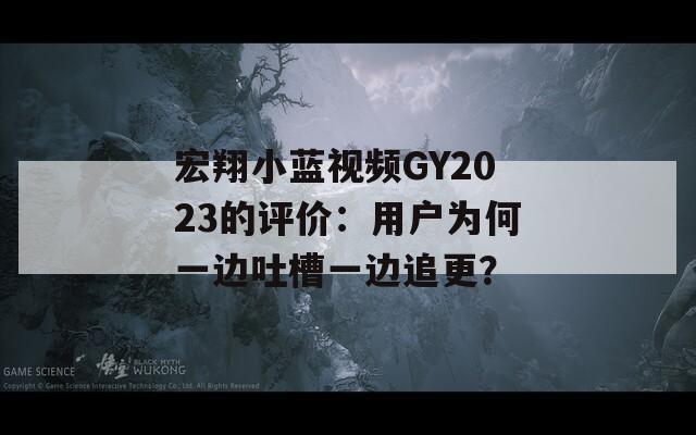 宏翔小蓝视频GY2023的评价：用户为何一边吐槽一边追更？