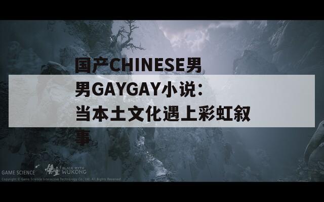 国产CHINESE男男GAYGAY小说：当本土文化遇上彩虹叙事