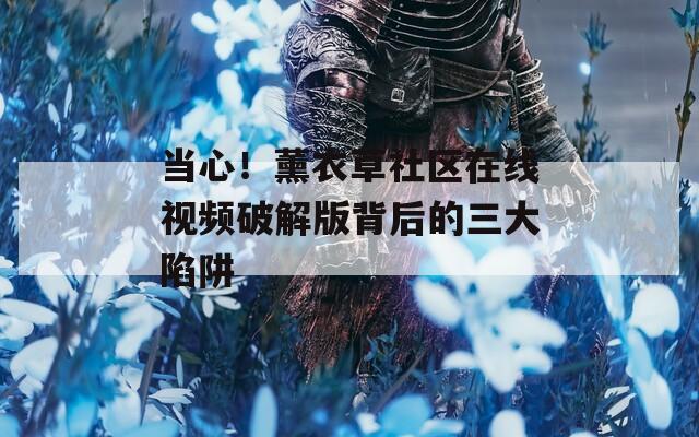 当心！薰衣草社区在线视频破解版背后的三大陷阱