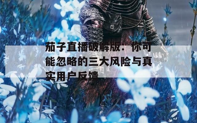 茄子直播破解版：你可能忽略的三大风险与真实用户反馈