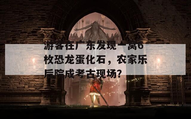 游客在广东发现一窝6枚恐龙蛋化石，农家乐后院成考古现场？