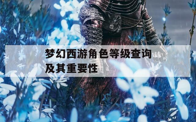 梦幻西游角色等级查询及其重要性