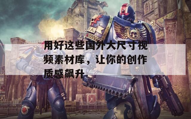 用好这些国外大尺寸视频素材库，让你的创作质感飙升
